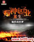 重生爆利电子业